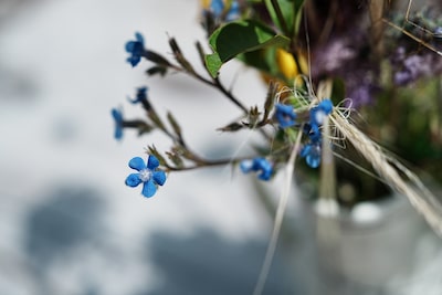 Imagen de ejemplo de un primer plano de una flor con un denso bokeh de fondo